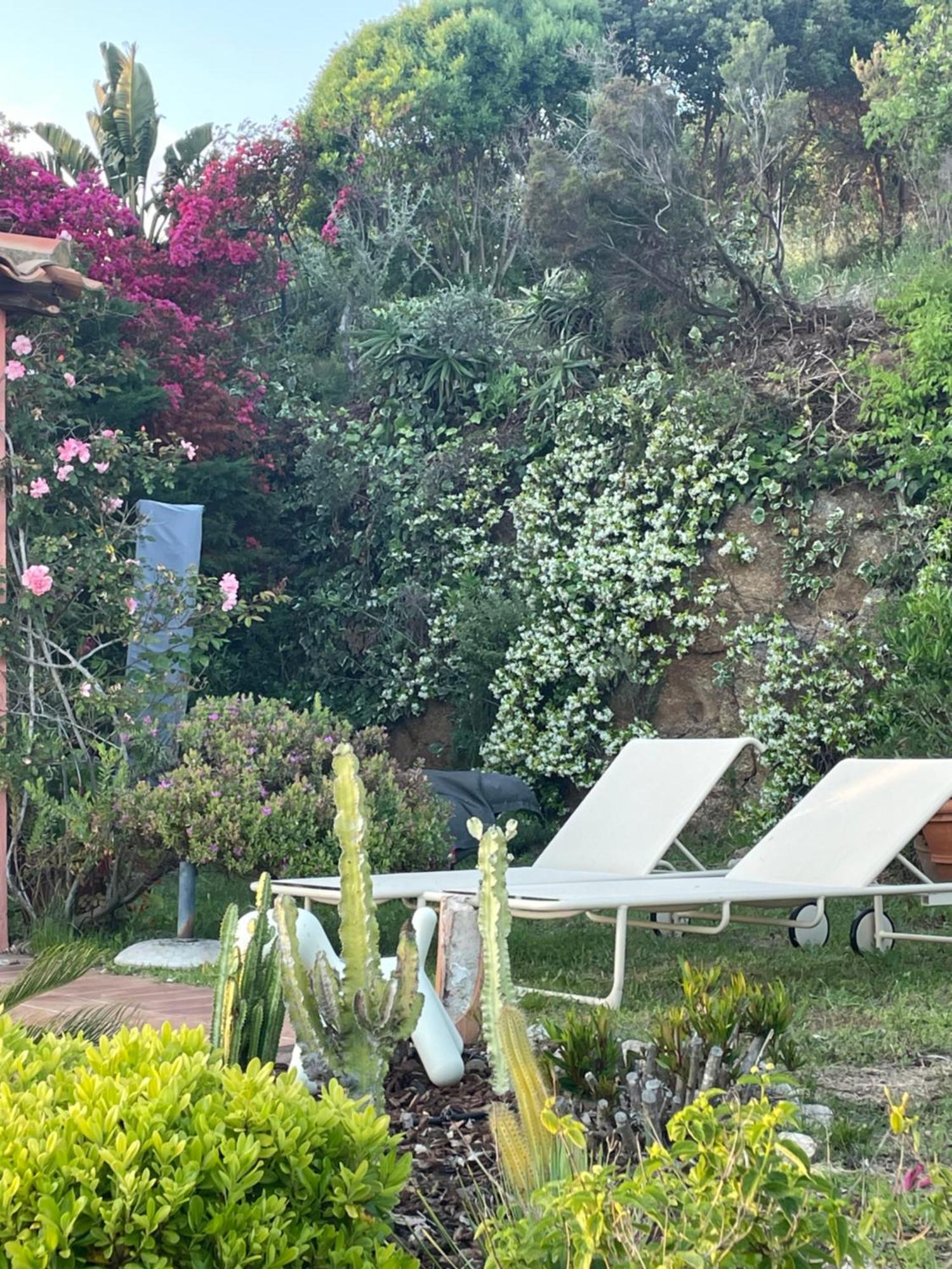 Maison De Lou 포르티씨오 외부 사진